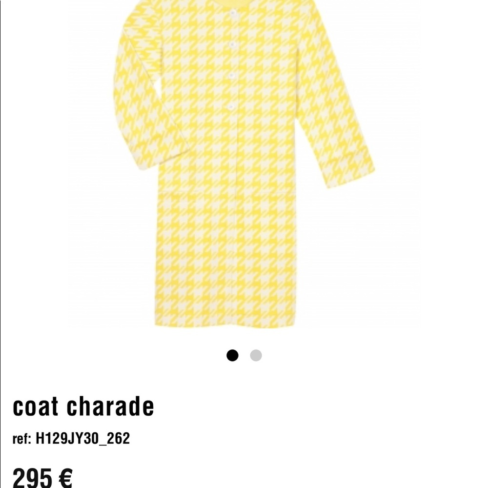 Agnes b Paris coat
